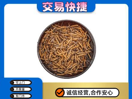 和顺县礼品回收虫草.jpg
